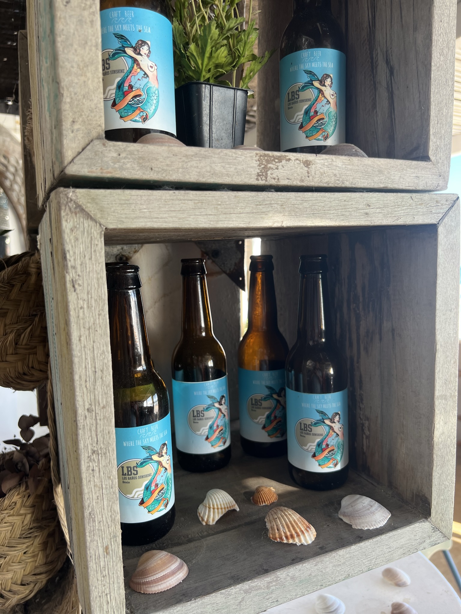 Cerveza artesana LBS - Imagen 2